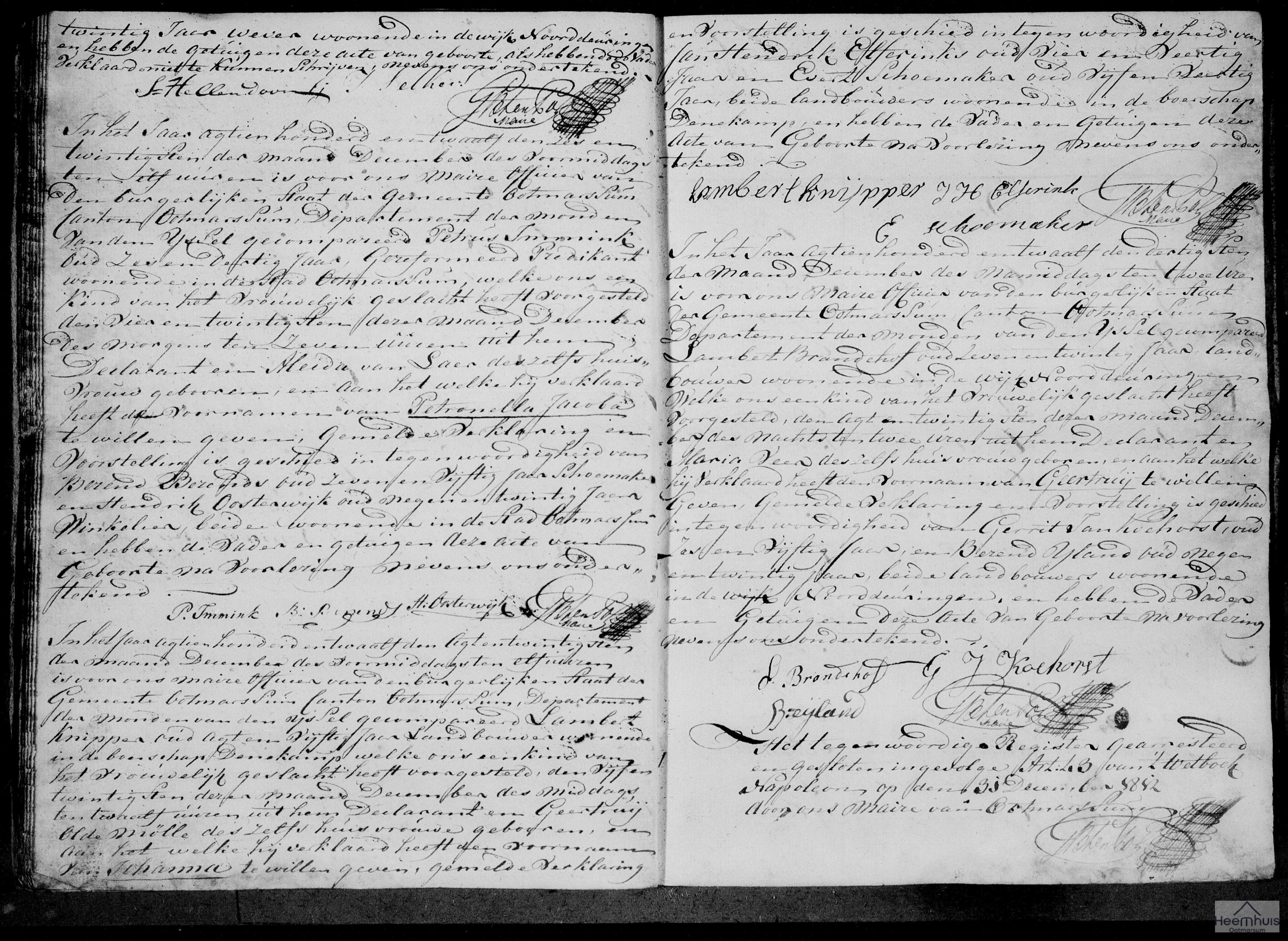 Geboorteakte van Petronella Jacoba Immink