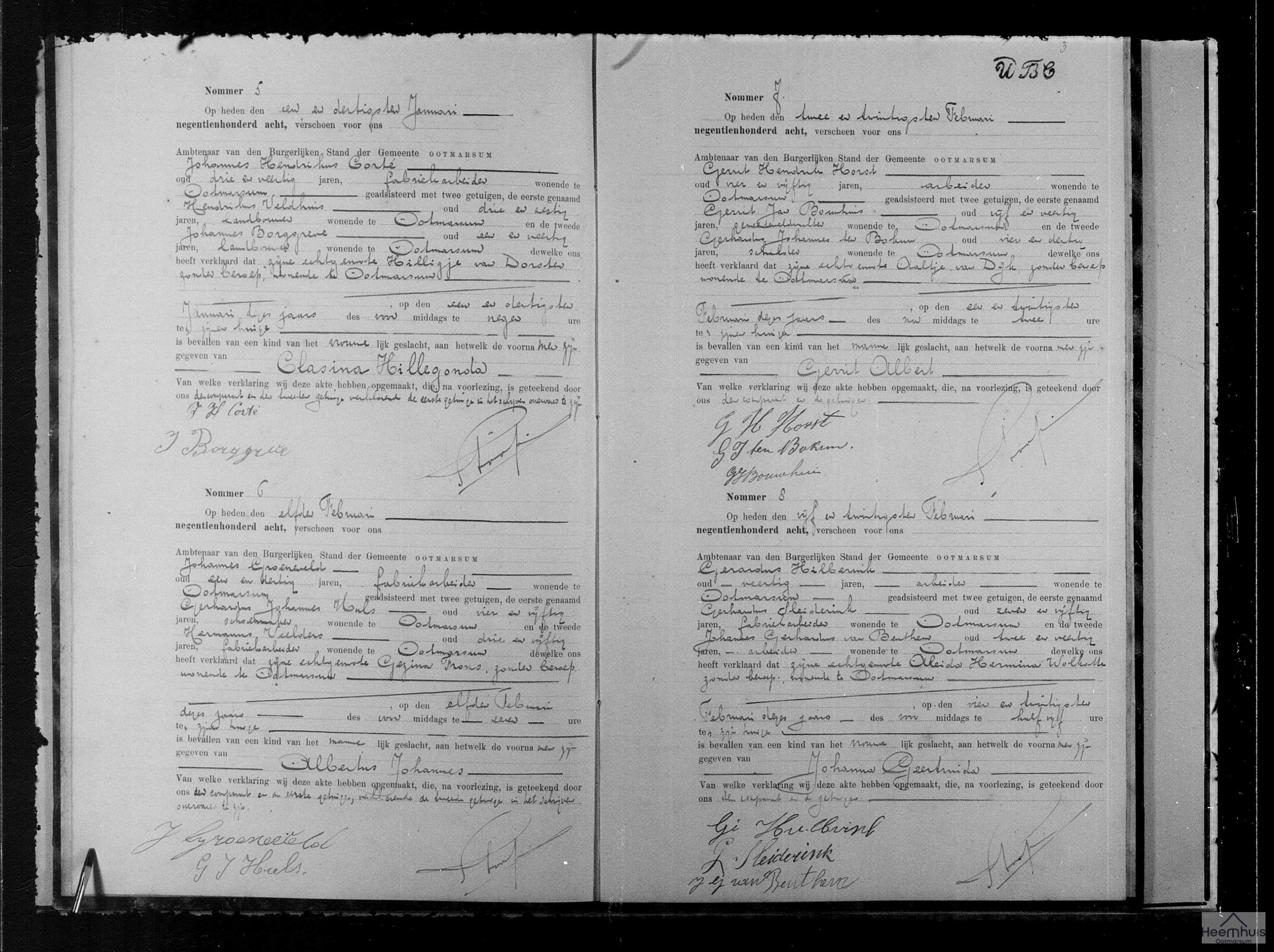 Geboorteakte van Clasina Hillegonda Corté