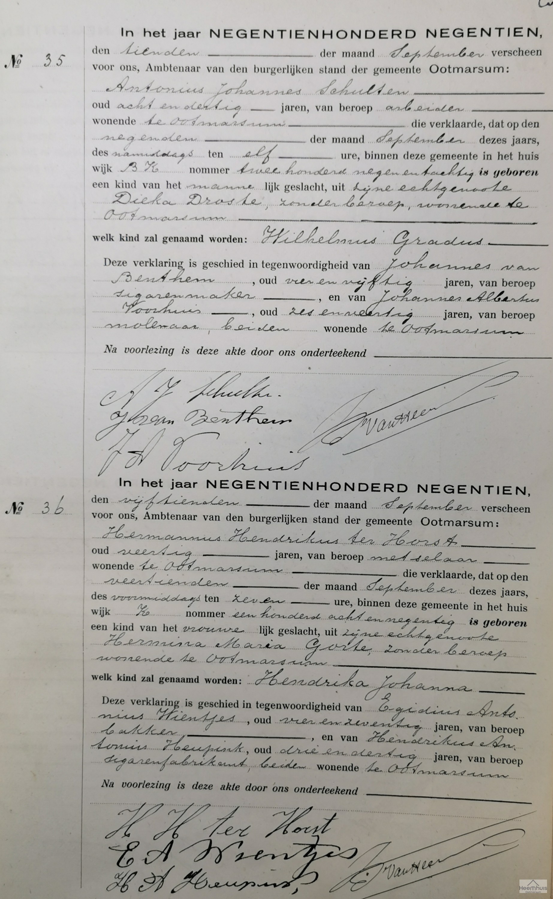 Geboorteakte van Hendrika Johanna ter Horst