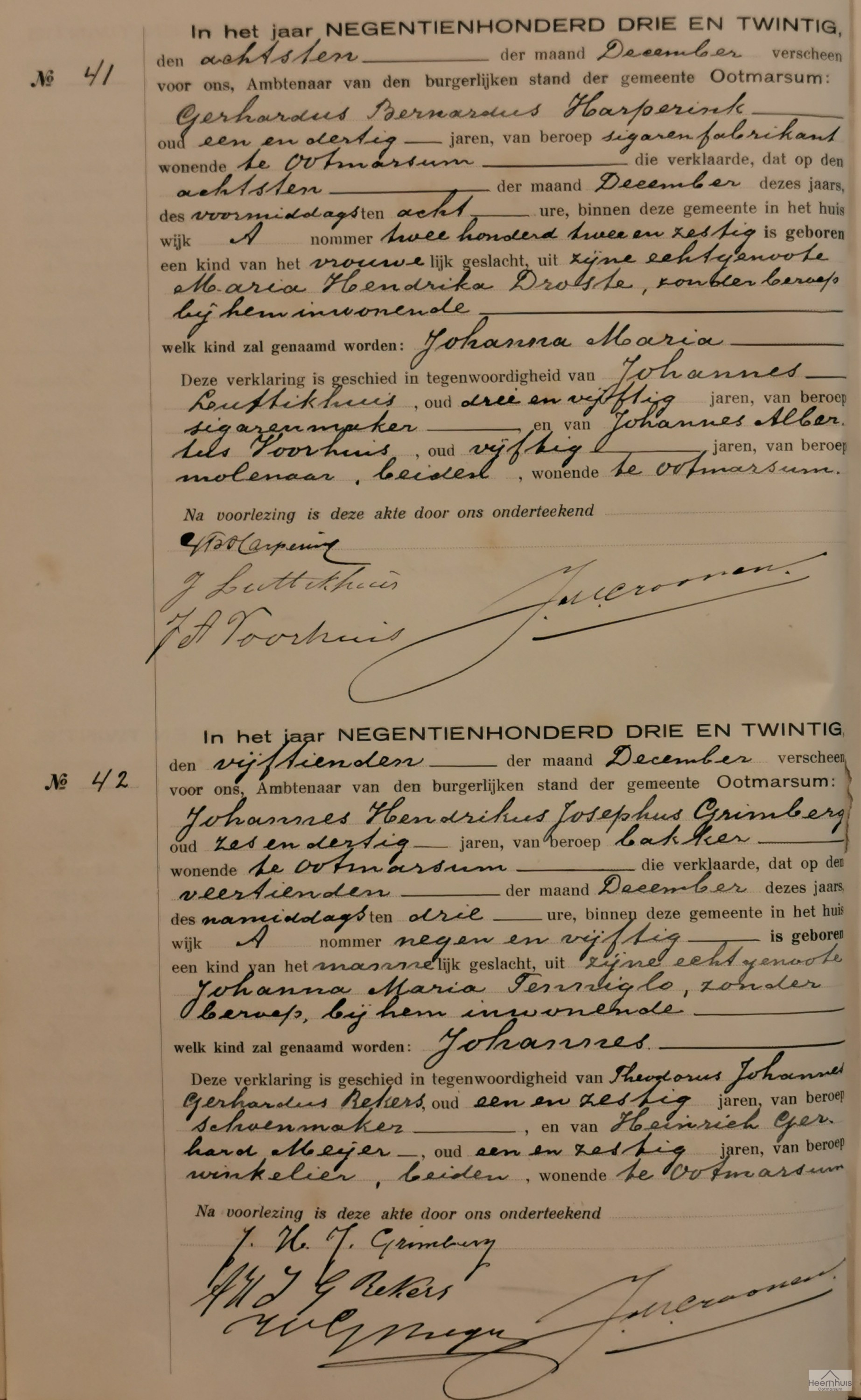 Geboorteakte van Johanna Maria Harperink