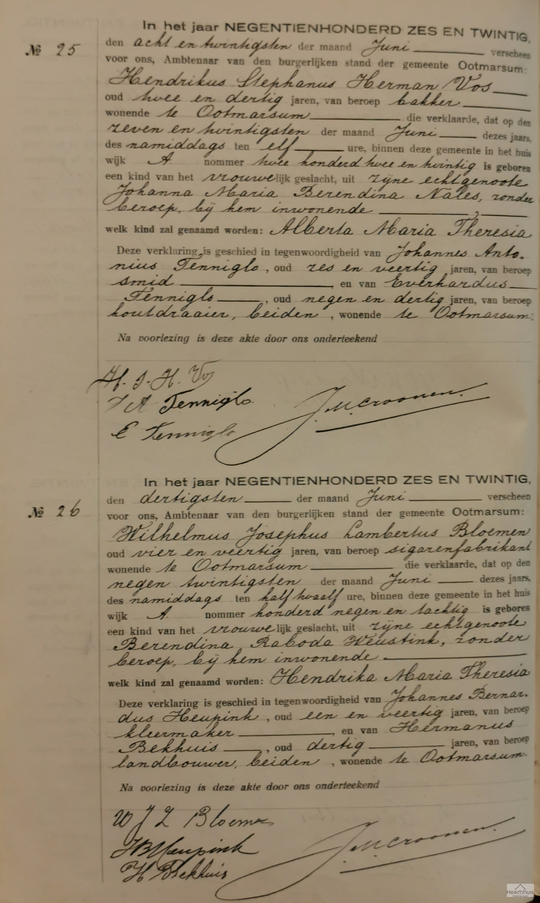 Geboorteakte van Hendrika Maria Theresia Bloemen