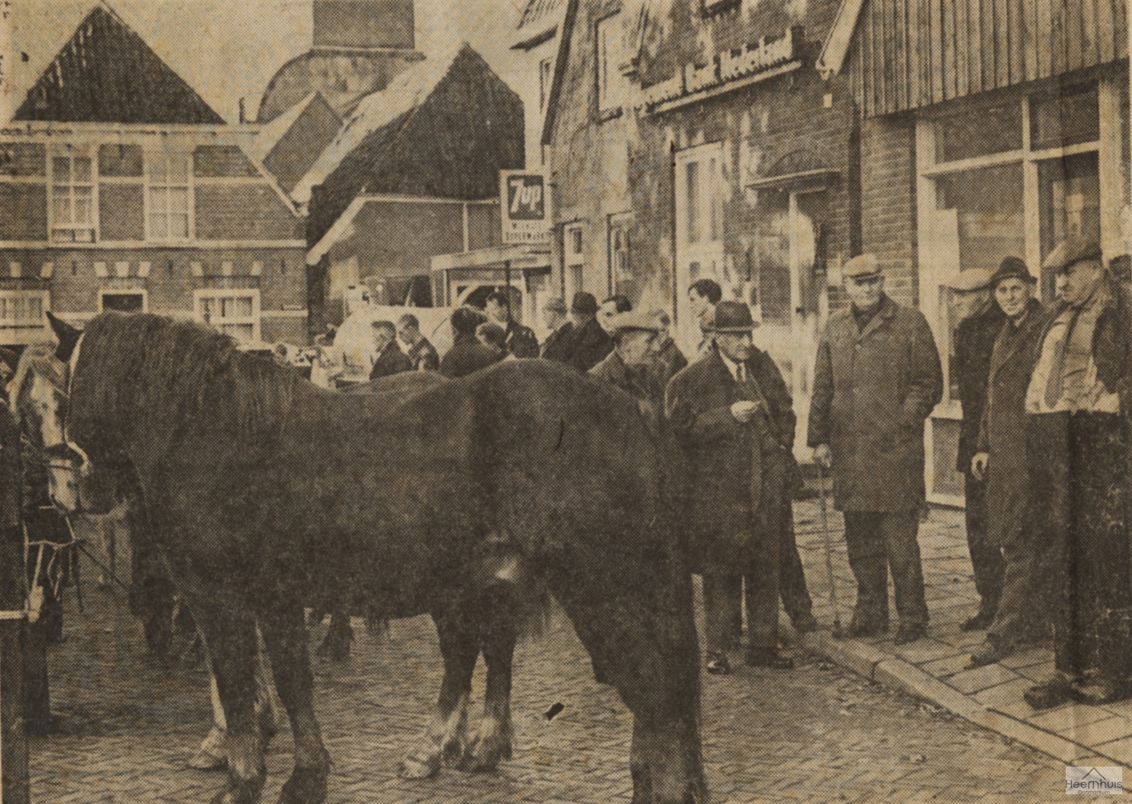 Paardenhandelaren op de veemarkt 's vrijdagmorgens met de kermis.