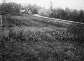 Van Wezel textiel