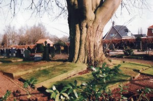 Protestantse Kerk