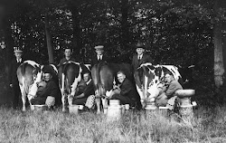 Handmelk-diploma jonge boeren en boerinnen