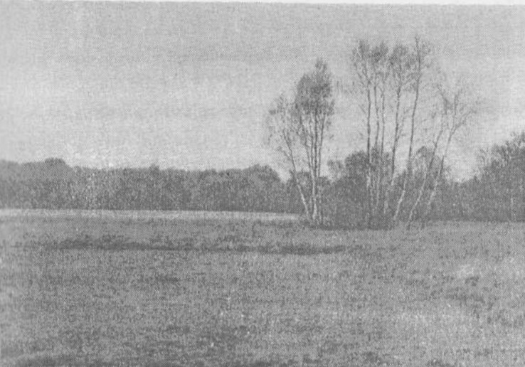 Heide 1984