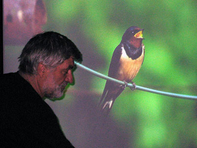 Boerenzwaluw lezing