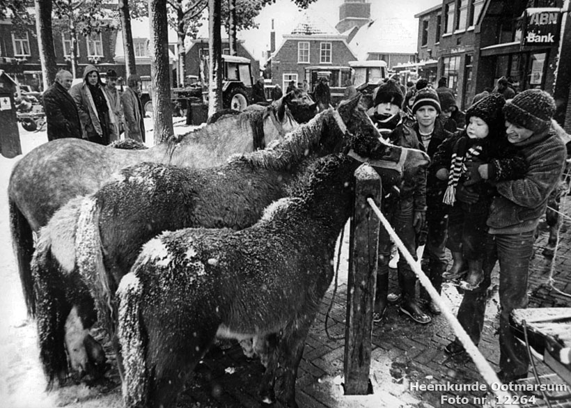 Koale Karmis 1980