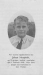Johannes Gerardus Antonius Heupink