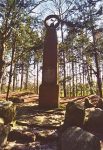 Excursie Emslandkampen