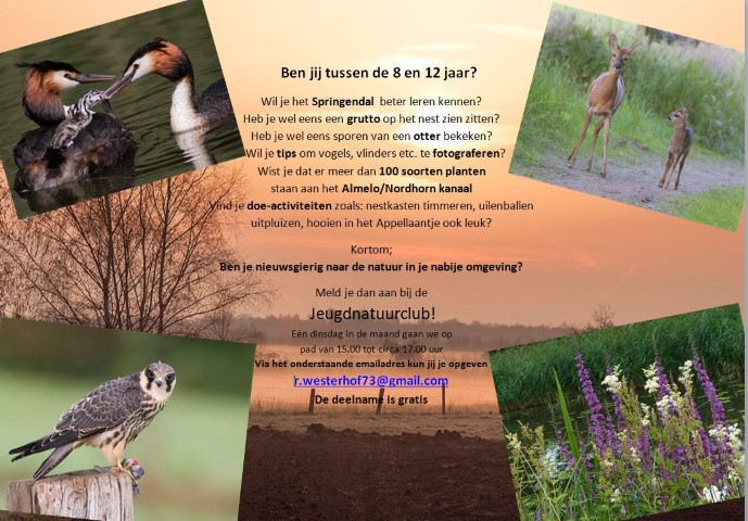 Jeugdnatuurclub Ootmarsum : natuurlijk uitdagend