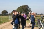 Euro BirdWatch 2015