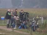 Eurobirdwatch