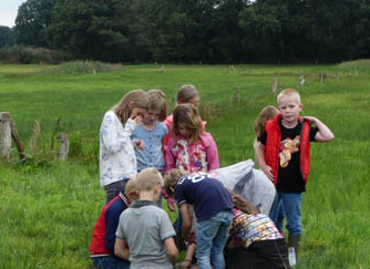 Jeugdnatuurclub vangt ‘een sloot vol waterdiertjes’ bij Hoeve Springendal