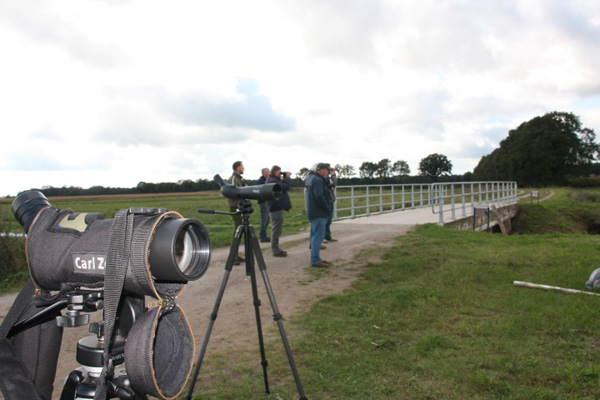 Euro Birdwatch 2013