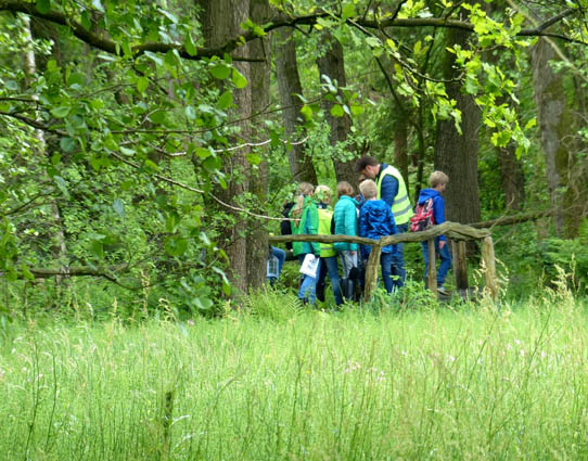 Groep Westerhof