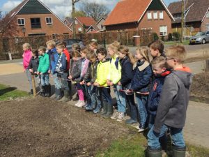 zaaien