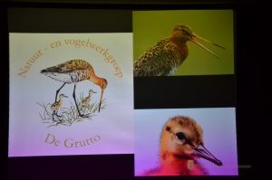 Presentatie Wim Wijering