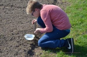 Jeugdnatuurclub zaait bloemperkjes