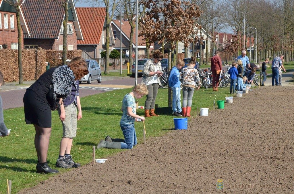 Jeugdnatuurclub zaait bloemperkjes