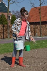 Jeugdnatuurclub zaait bloemperkjes