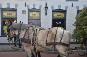 Paashout halen 2017, wachten bij de kroeg