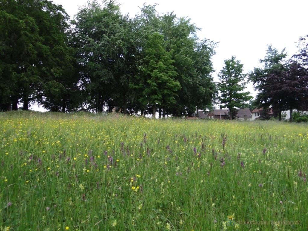 Engels Tuin