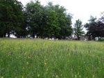Engels Tuin