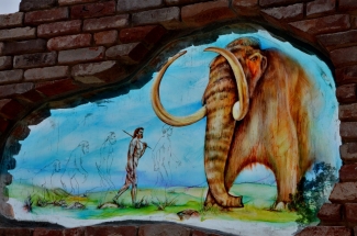 Glasschilderij Homo Sapiens