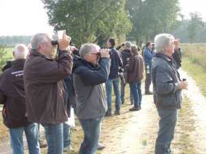 Vogels tellen in Ottershagen
