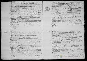 Voorbeeld scan geboorteakte