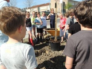 Bloemenlint en Vlinderhoek