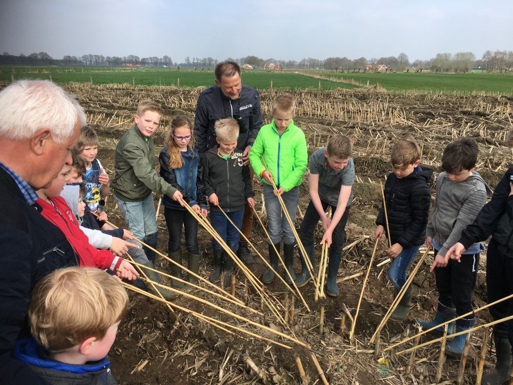 het gevonden nest