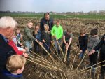 het gevonden nest