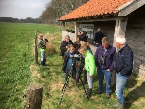 vogels observeren