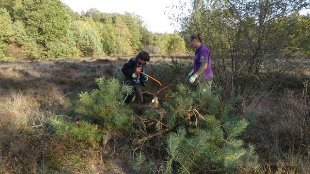 Jeugdnatuurclub op avontuur in het Springendal