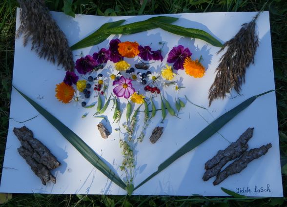 Jeugd creëert natuur op papier