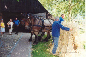 Oogstdag in het Openluchtmuseum