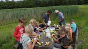 Jeugdnatuurclub Waterzuivering