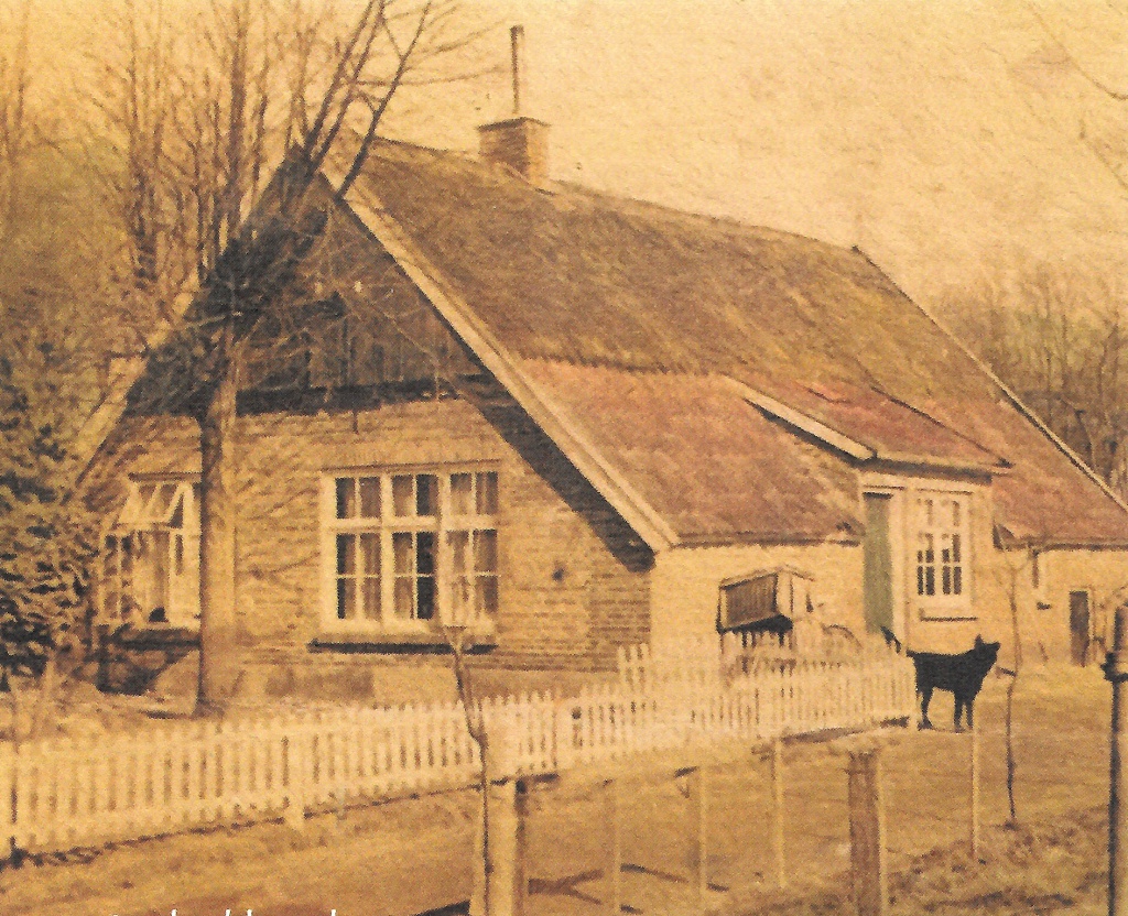 Aleida Johanna Eertman