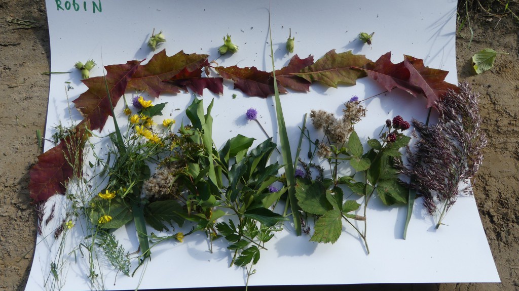 Jeugdnatuurclub knutselt met natuur