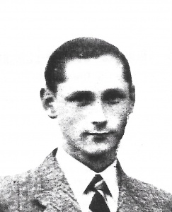 Johannes Gerardus Scholte Lubberink