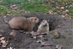 Jeugdnatuurclub leert veel