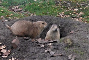 Jeugdnatuurclub leert veel