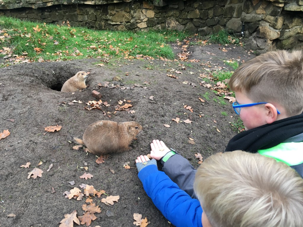 Jeugdnatuurclub leert veel over de natuur