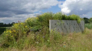 Insectenhotel waterzuivering