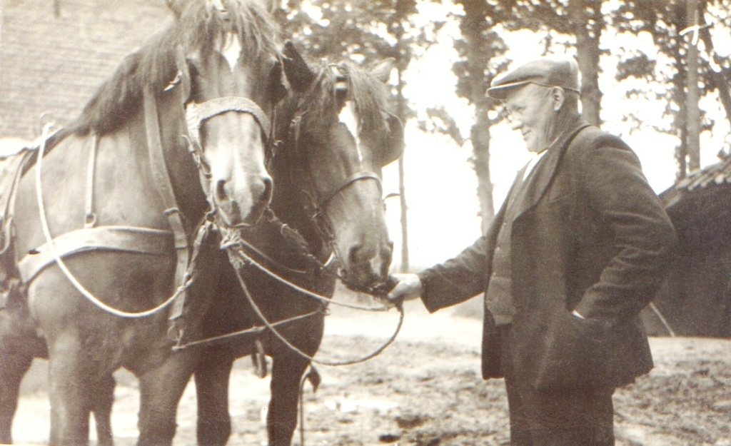 Johannes Bernardus Ribbert