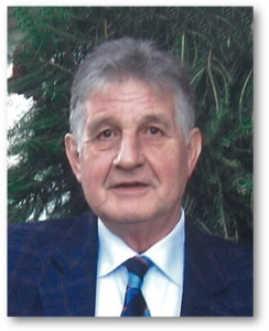 Bernardus Alphonsus Steggink