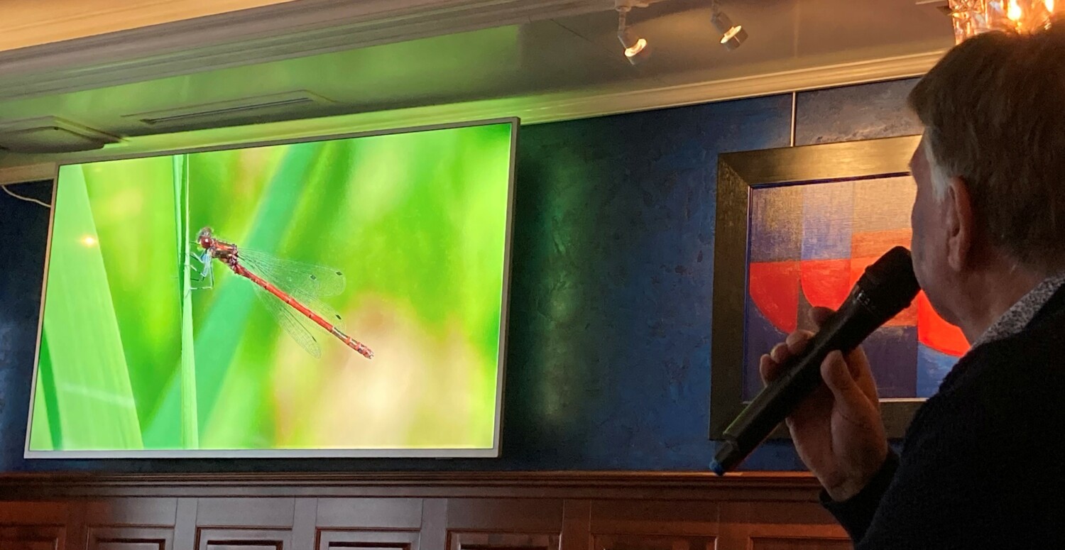 Harry Wolbers fotografeert natuur met Twentse landschap als decor