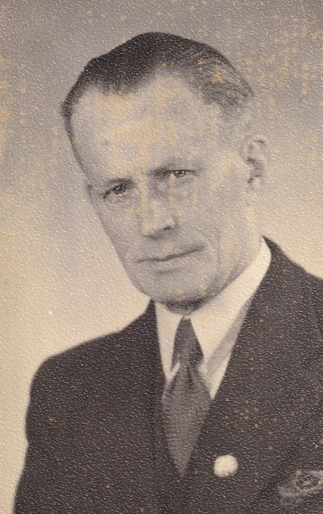 Theodorus Johannes van Santen